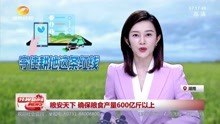 [图]粮安天下 确保粮食产量600亿斤以上