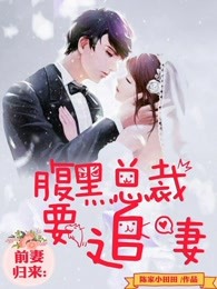 前妻归来：腹黑总裁要追妻