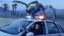 黑寡妇20年前的电影《八脚怪》，巨型蜘蛛入侵小镇，生灵涂炭。