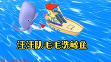 【果果】汪汪队救援世界 毛毛洗鲸鱼
