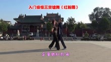 [图]经典老歌，百听不厌，慢三交谊舞《红粉雨》新手必学花样组合