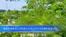 [图]在社会实践一线“行走”的思政课堂