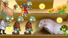 小仓鼠大冒险：玩植物大战僵尸游戏，仓鼠率领豌豆射手勇闯迷宫！
