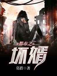 都市之坏婿