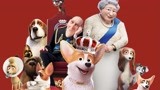 英国皇室狗狗 争宠到底有多激烈？堪称动物版《甄嬛传》