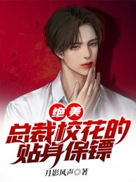 绝美总裁校花的贴身保镖