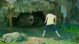 百万巨鳄：男孩差点被鳄鱼吃，一个人在鳄鱼池