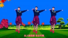 王馨新歌DJ《女人如花》