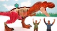 一起体验科学恐龙玩具