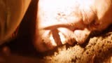 《金刚狼2》：金刚狼被原子弹炸成焦炭，真正的不死不灭！