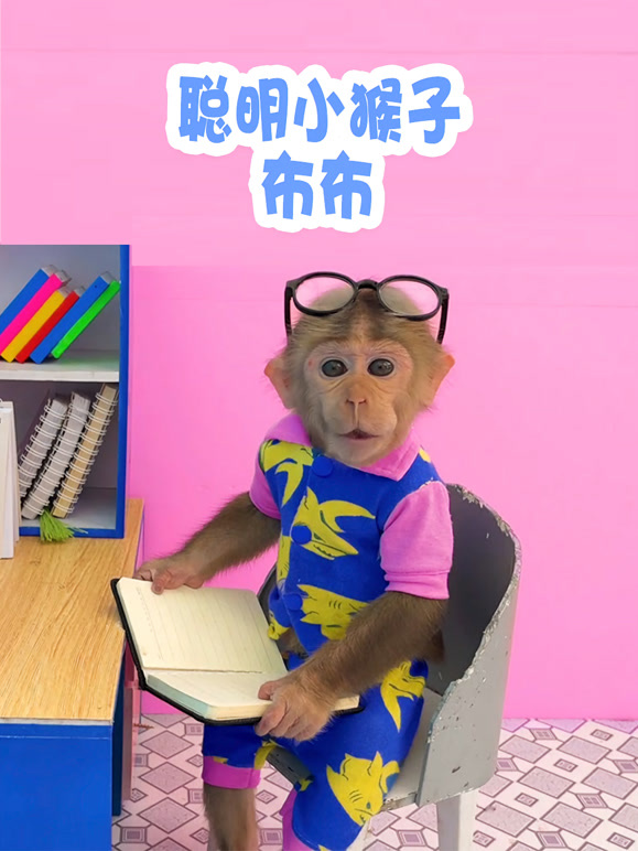 聪明小猴子布布