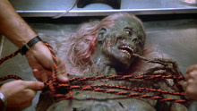 线上看 《活死人归来》首次回答了“僵尸为啥吃脑子”的神片 (1985) 带字幕 中文配音