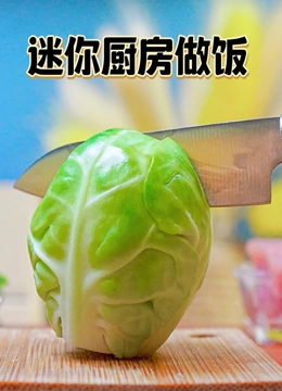 迷你厨房做饭}
