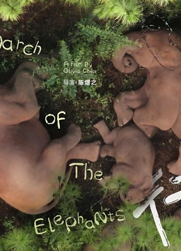 与象同行