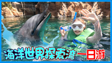 基尼去探索湾奇遇海豚！海豚真的好可爱啊~~