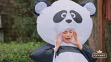 漂亮的战斗：杨超越cos熊猫服，化身功夫熊猫，偷走孟子义荷包