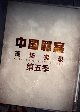 罪案现场实录第五季}