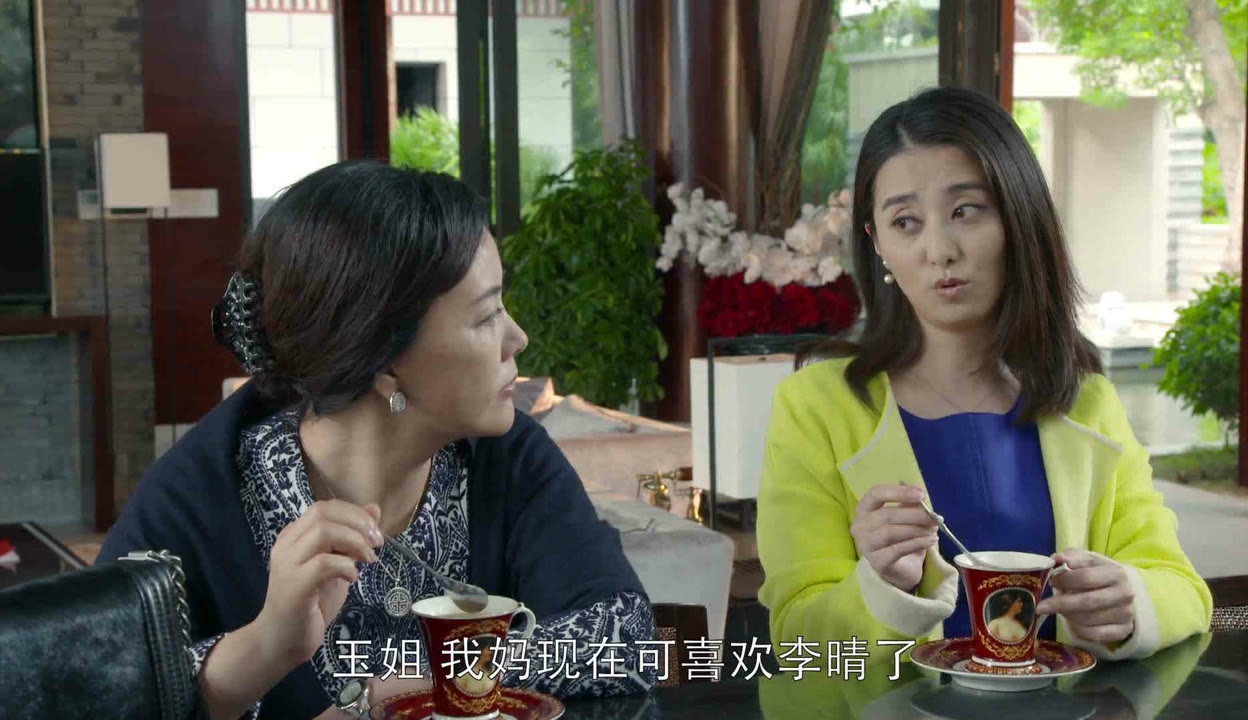 第二次人生宁宁和张扬