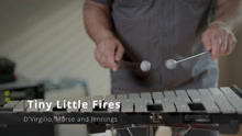 D'Virgilio, Morse & Jennings - Tiny Little Fires