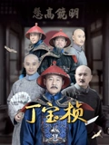丁宝桢}