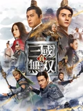 真三国无双}