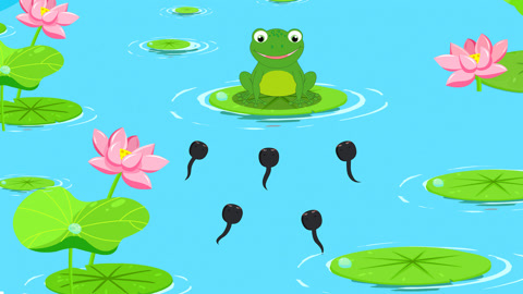 池塘小蝌蚪卡通图片
