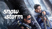  Snowstorm (2024) Legendas em português Dublagem em chinês