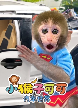 小猴子可可汽车世界}