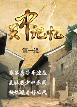 关中记忆}