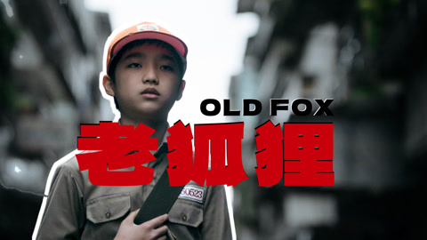 去年很不错的台湾电影,冷漠无情的老狐狸(一)