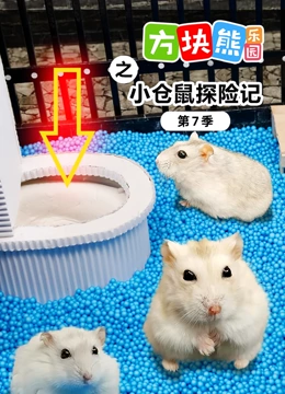 方块熊乐园之小仓鼠探险记 第7季}