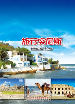 旅行突尼斯}