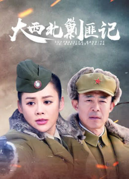 大西北剿匪记