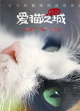 爱猫之城}