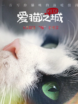 爱猫之城}