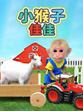 小猴子佳佳