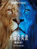 大猫全实录