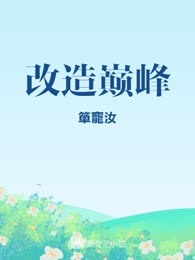 改造巅峰
