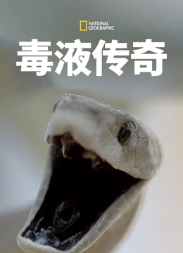 海报背景