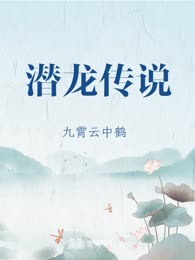 潜龙传说
