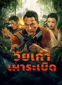 ดู ออนไลน์ วัยเก๋า เผาระเบิด (2024) ซับไทย พากย์ ไทย