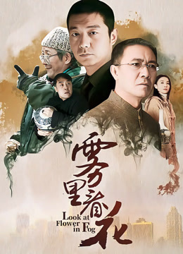 雾里看花