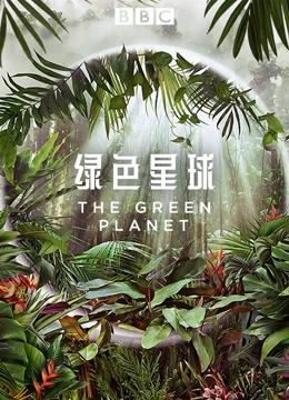 绿色星球