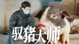 小小年纪驭猪有术！陈少熙和猪不得不说的故事【种地吧3】