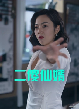 二傻仙婿