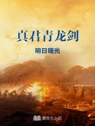 真君青龙剑
