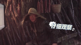 ดู ออนไลน์ ชีวิตแลกชีวิต เบื้องหลัง5 (2025) ซับไทย พากย์ ไทย