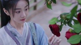 온라인에서 시 Love Never Fails 13화 미리 보기 (2025) 자막 언어 더빙 언어