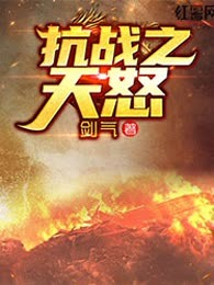 抗战之天怒