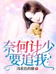 奈何计少要追我